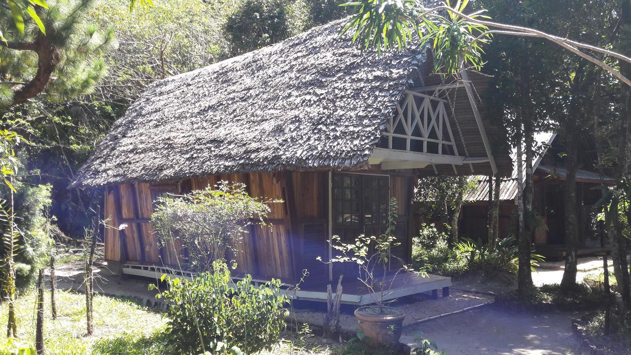 Les Acacias Bungalows Manambolo Εξωτερικό φωτογραφία